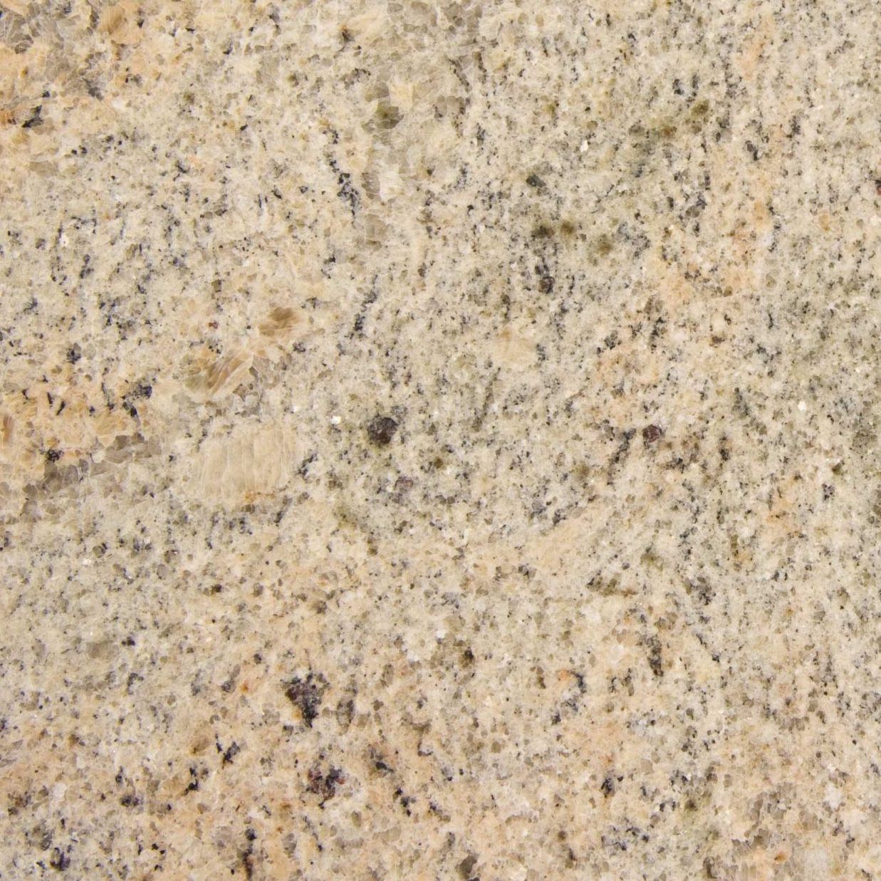 Kashmir Cream Granite Exporters in India